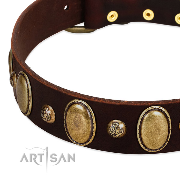 Full grain genuine leather dog collar with impressive studs