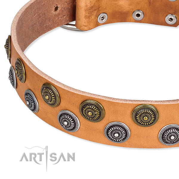 Basic training decorated dog collar of high quality natural leather