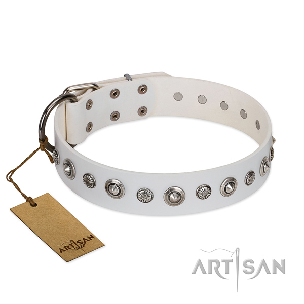 High quality leather dog collar with significant embellishments