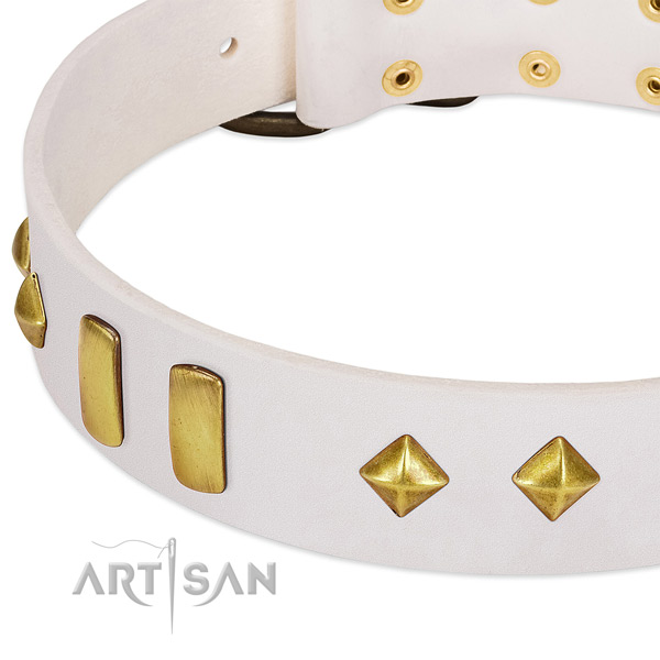 Best quality natural leather dog collar with rust resistant fittings