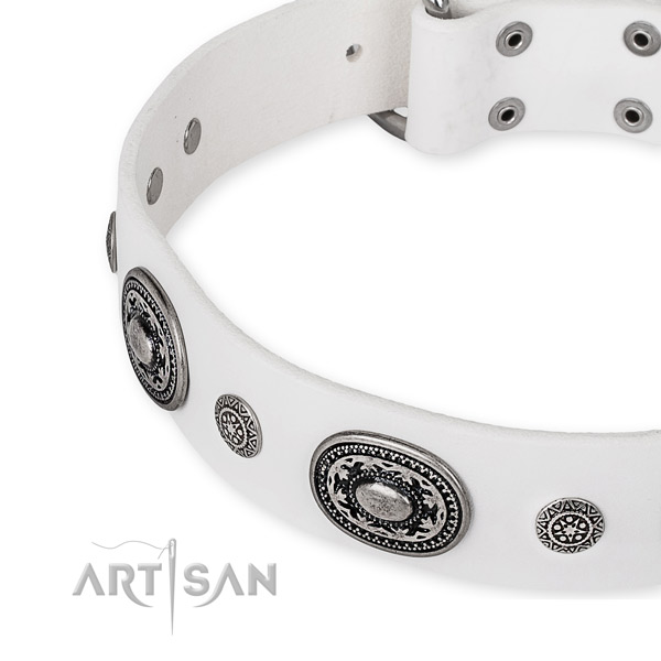Durable full grain natural leather dog collar handcrafted for your stylish doggie