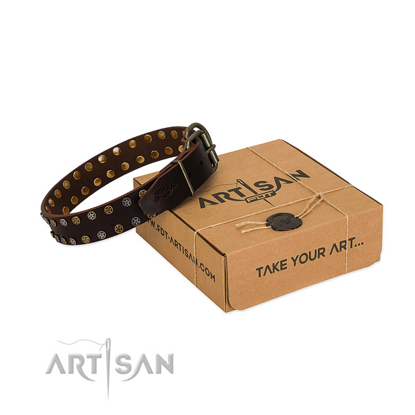 Everyday use reliable leather dog collar with decorations