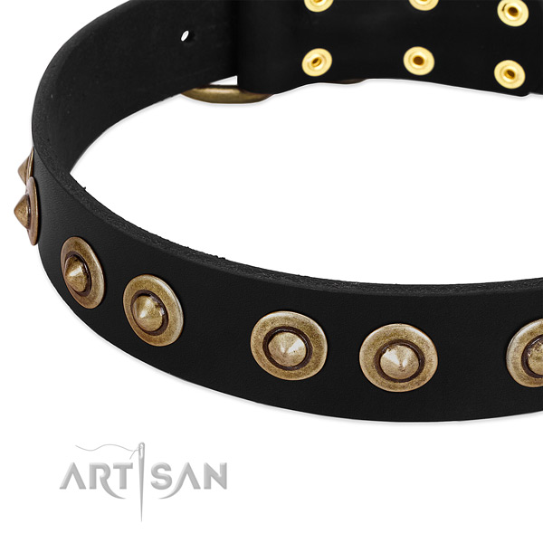Corrosion resistant decorations on full grain leather dog collar for your four-legged friend