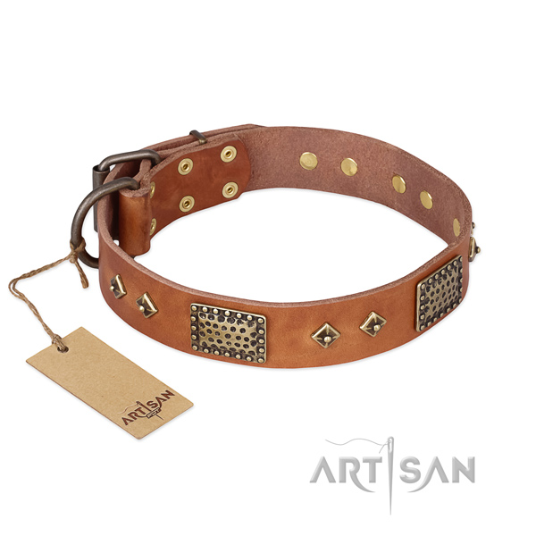 Impressive full grain natural leather dog collar for comfortable wearing