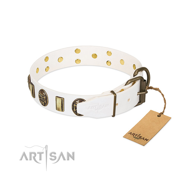 Rust resistant D-ring on genuine leather collar for daily walking your doggie