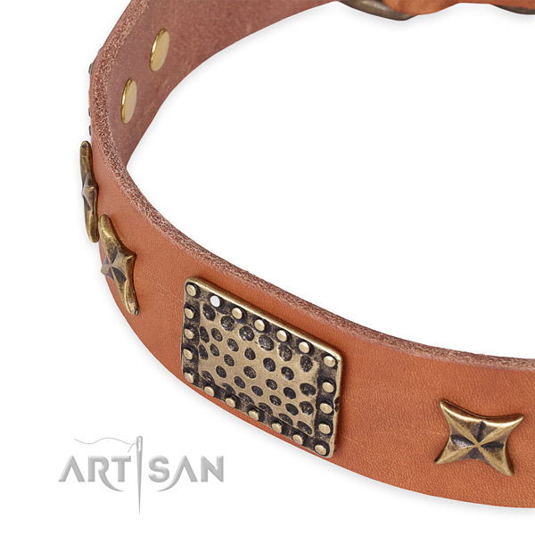 Full grain natural leather collar with corrosion proof D-ring for your stylish four-legged friend