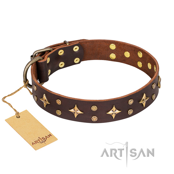 Basic training dog collar of top quality full grain leather with adornments