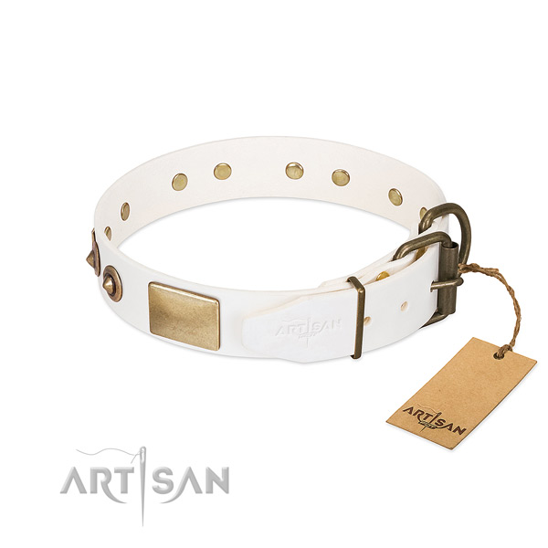 Corrosion proof fittings on full grain genuine leather dog collar for your doggie