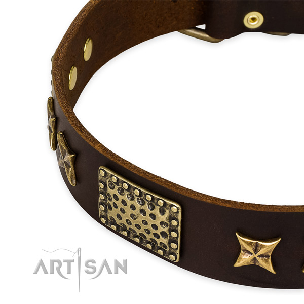 Genuine leather collar with rust resistant traditional buckle for your beautiful pet