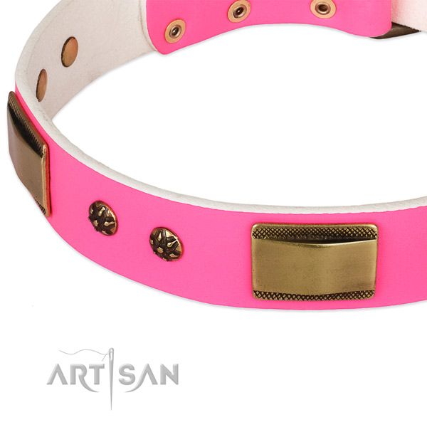 Strong studs on leather dog collar for your canine