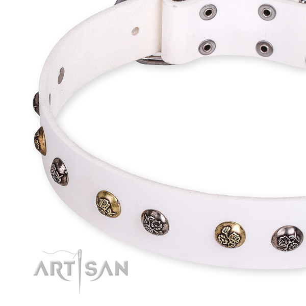 Full grain natural leather dog collar with inimitable strong decorations