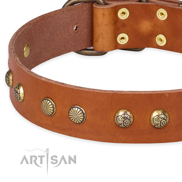 Genuine leather collar with reliable D-ring for your handsome dog