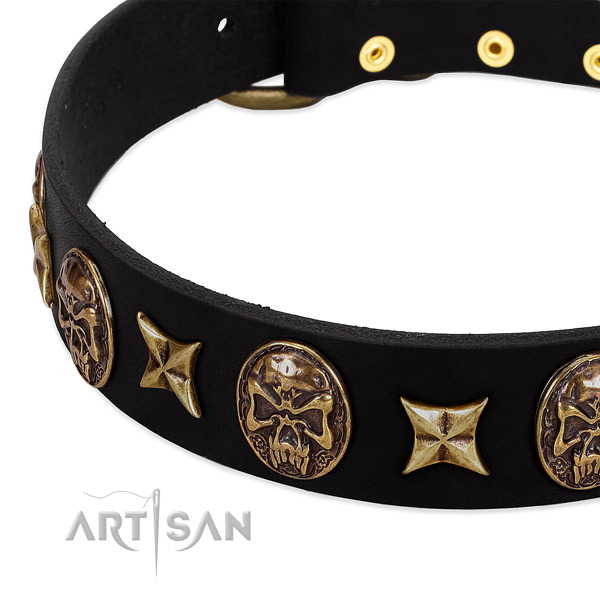 Reliable buckle on leather dog collar for your doggie