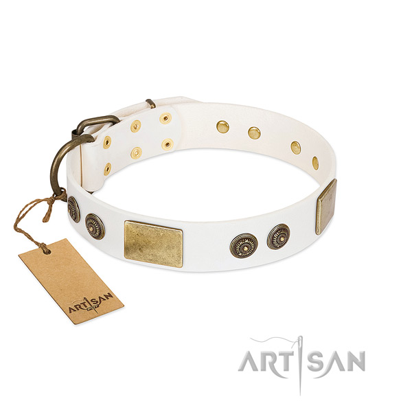 Extraordinary full grain natural leather dog collar for basic training