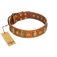 "Crystal Sand" FDT Artisan Tan Leather Labrador Collar with Vintage Looking Oval and Round Studs