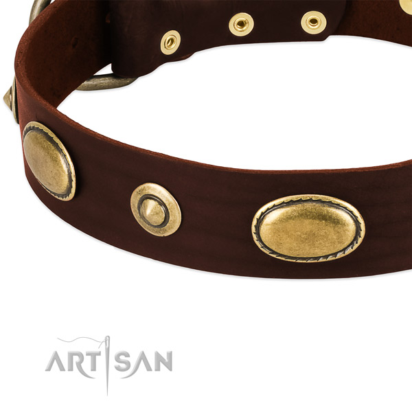 Rust-proof buckle on full grain leather dog collar for your dog