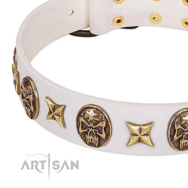 Natural leather dog collar with rust resistant D-ring