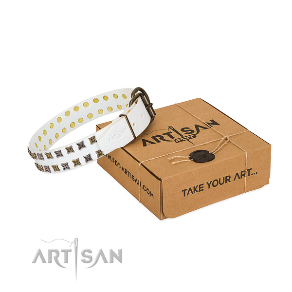 Leather collar with incredible embellishments for your canine