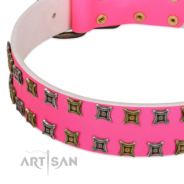 Genuine leather dog collar with exquisite embellishments