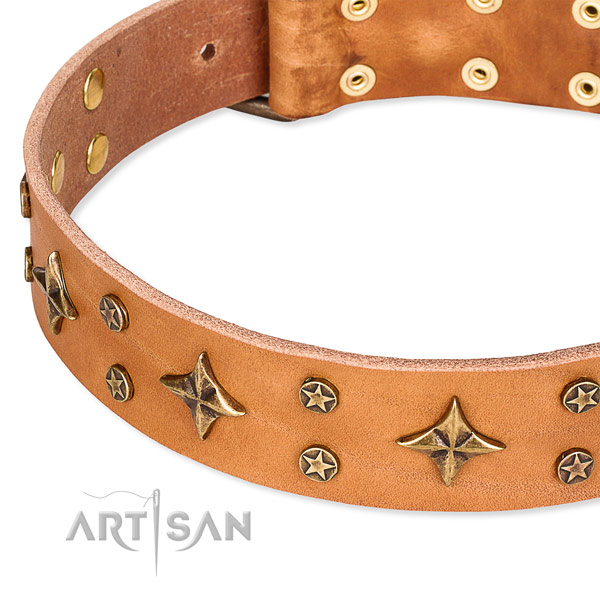 Daily walking adorned dog collar of best quality natural leather