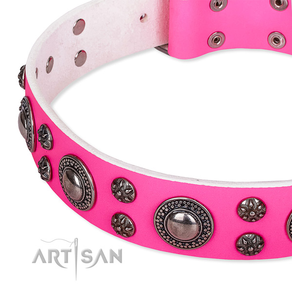 Walking adorned dog collar of strong leather