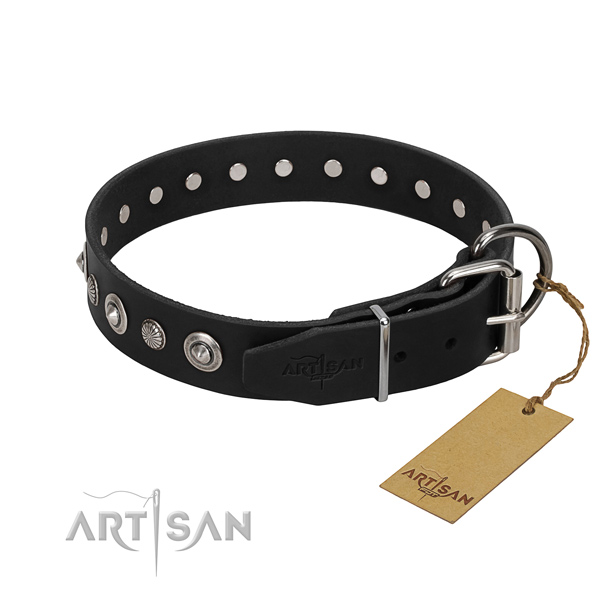 Strong genuine leather dog collar with extraordinary embellishments