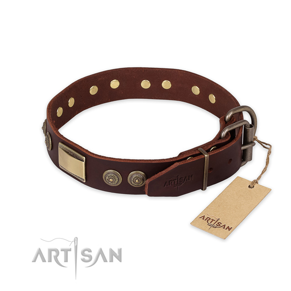 Rust-proof hardware on leather collar for fancy walking your pet