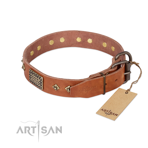 Leather dog collar with corrosion proof hardware and adornments