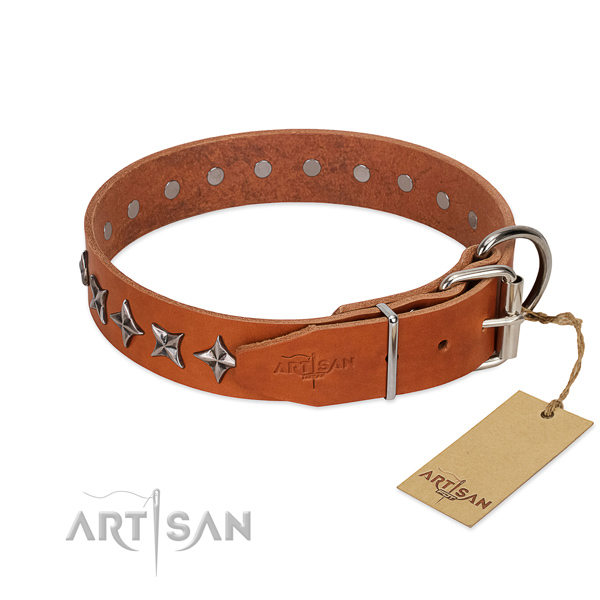 Daily use adorned dog collar of durable full grain natural leather