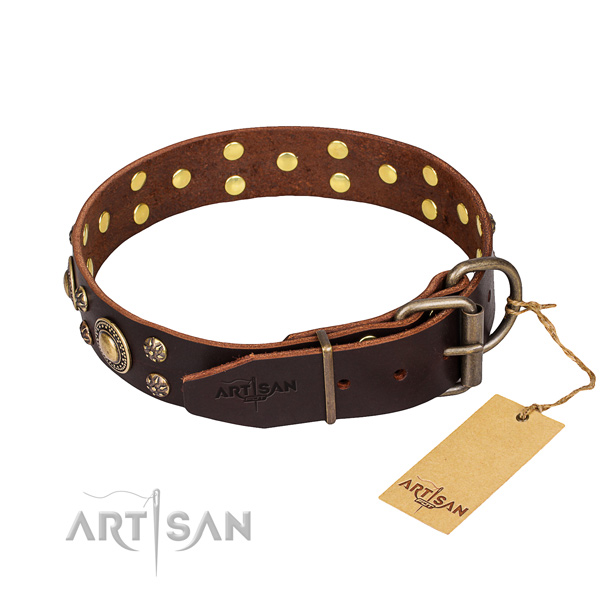 Everyday use decorated dog collar of finest quality full grain leather