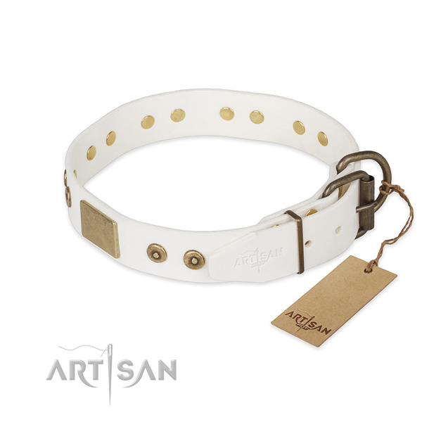 Leather dog collar with rust resistant hardware and adornments