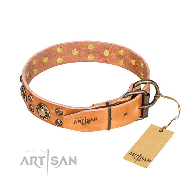 Stylish walking adorned dog collar of reliable leather