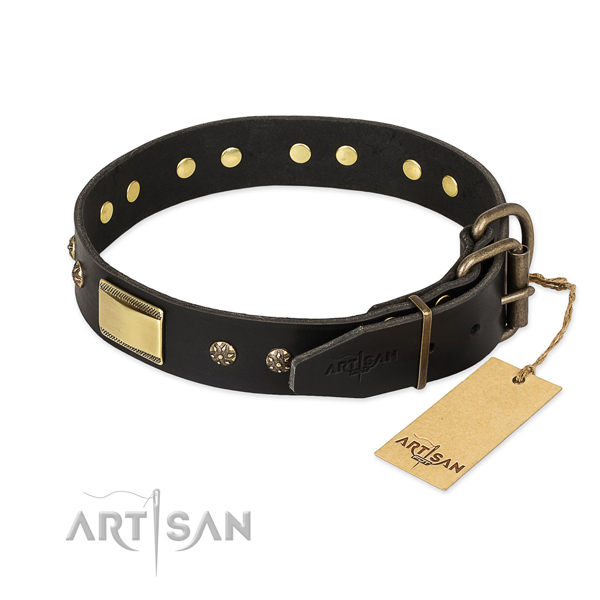 Full grain natural leather dog collar with rust resistant fittings and decorations