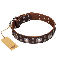 "Age of Beauty" FDT Artisan Incredible Studded Brown Leather Labrador Collar "Age of Beauty" FDT Artisan Incredible Studded Brown Leather Labrador Collar