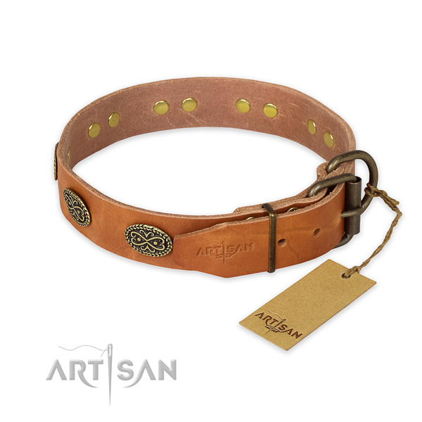 Corrosion proof traditional buckle on full grain genuine leather collar for daily walking your four-legged friend