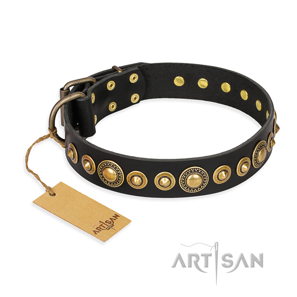 Quality full grain natural leather dog collar crafted for everyday walking