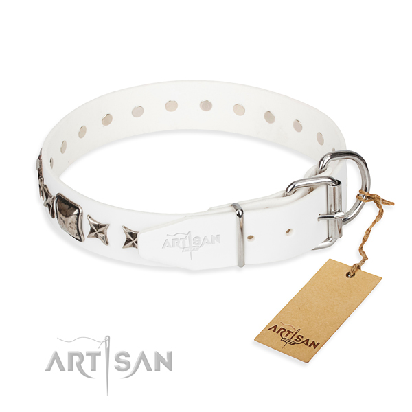 Durable adorned dog collar of natural leather