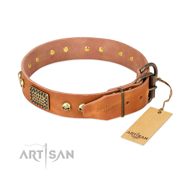 Corrosion resistant fittings on easy wearing dog collar