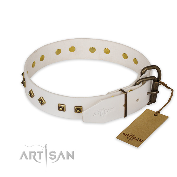 Strong traditional buckle on genuine leather collar for basic training your four-legged friend