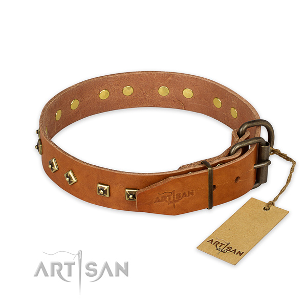 Rust resistant D-ring on full grain leather collar for basic training your pet