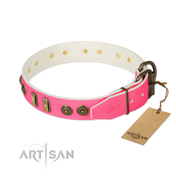 Reliable adornments on full grain genuine leather dog collar for your canine