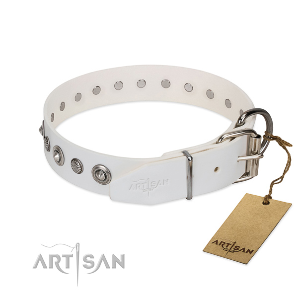 Top quality natural leather dog collar with significant embellishments