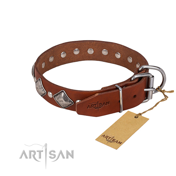 Everyday walking adorned dog collar of quality leather