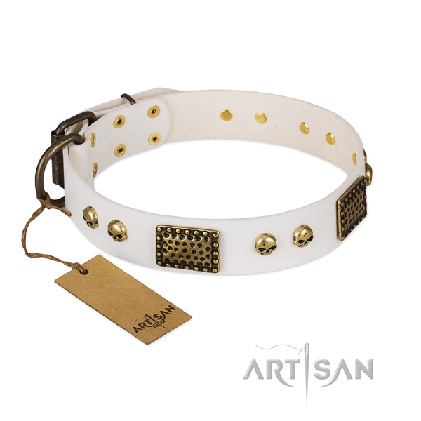 Corrosion proof buckle on stylish walking dog collar