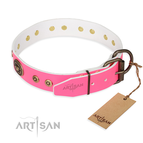 Full grain natural leather dog collar made of soft material with durable embellishments