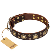 "Flower Melody" FDT Artisan Brown Leather Labrador Collar with Mixed Studs