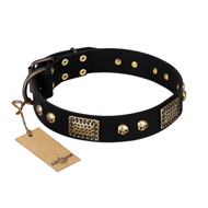 "Biker Style" FDT Artisan Black Leather Labrador Collar with Old Bronze Look Plates and Skulls "Biker Style" FDT Artisan Black Leather Labrador Collar with Old Bronze Look Plates and Skulls