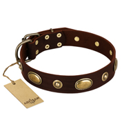 "Hebe's Jewel" FDT Artisan Brown Genuine Leather Labrador Collar