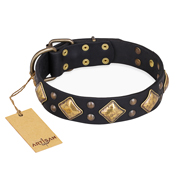 "Fancy-Schmancy" FDT Artisan Studded Leather Labrador Collar "Fancy-Schmancy" FDT Artisan Studded Leather Labrador Collar