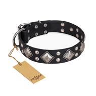 "Smart Geometry" FDT Artisan Studded Leather Labrador Collar